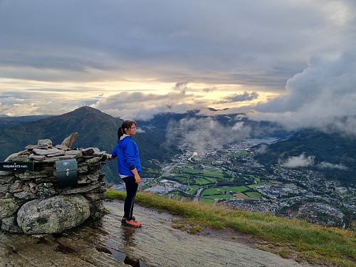 Utsikt frå Viefjellet