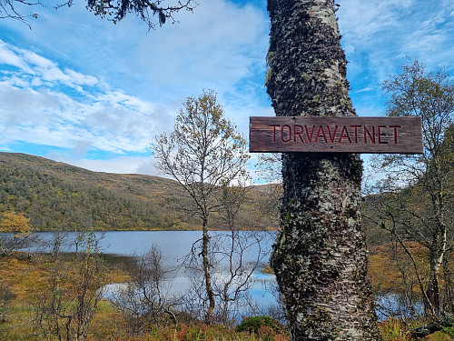  Torvevatnet