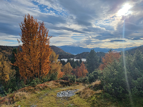 Flotte haustfargar