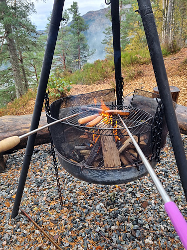 Grilling av pølser 
