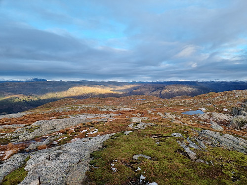 Frå varden og nordover