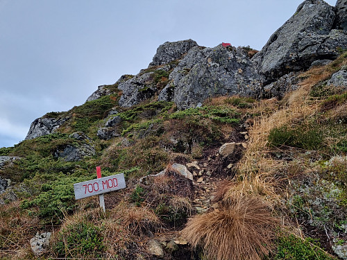 700meter over Dalsfjorden