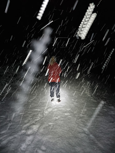 Tett snødrev