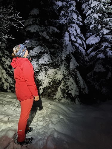 Kjekt med gode hovudlykt