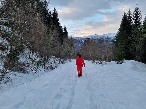 endeleg nedatt i nedtråkka snø