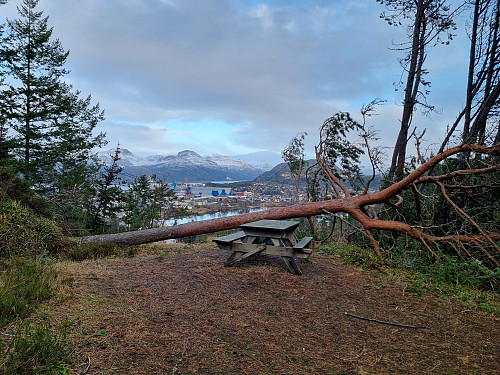 Hinderløypa
