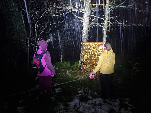 mørkt og vått
