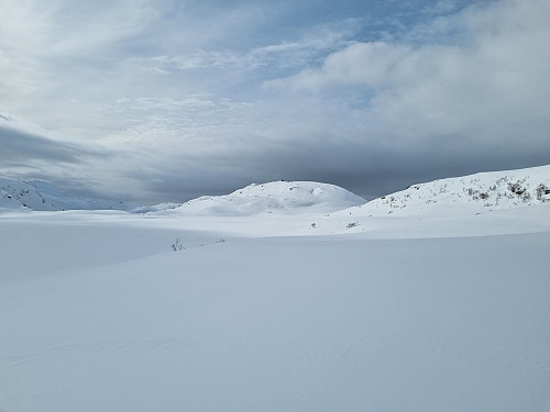 Bjørnalijellet i sikte