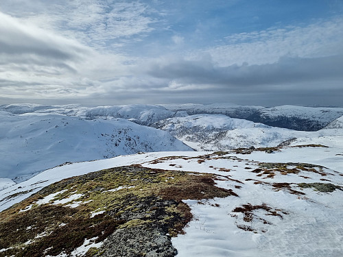 Utsikt frå Bjørnalifjellet