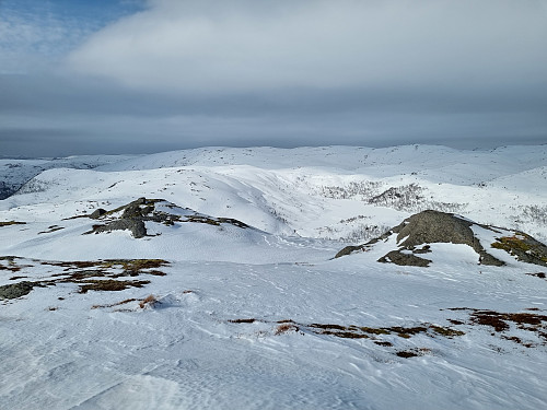 Utsikt frå Bjørnalifjellet