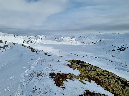 Utsikt frå Bjørnalifjellet