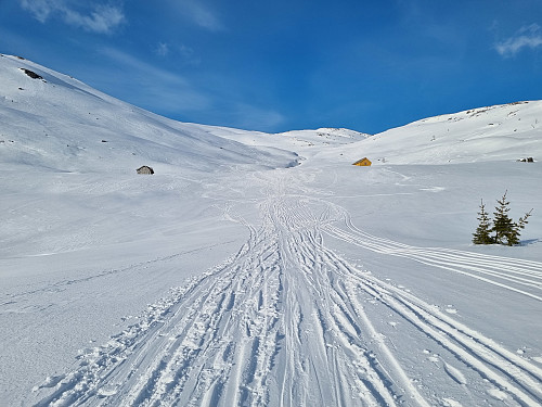 Midtunsdalen