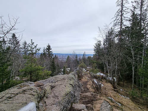Vettakollen topp