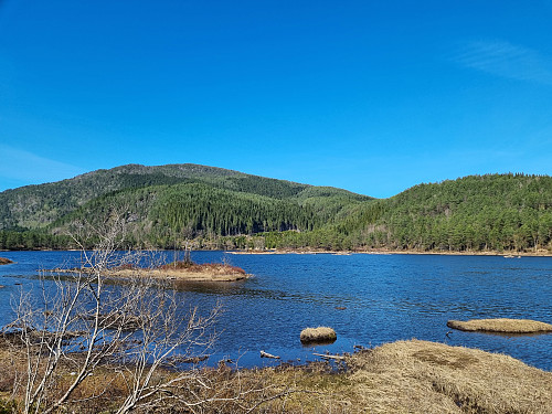 Botnatjørna