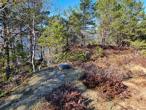 Toppen er markert med ein liten stein