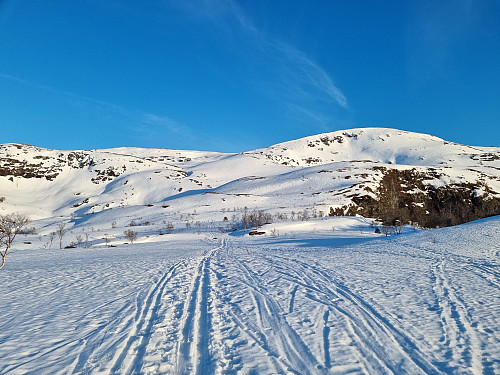 Fauskevarden er mykje brukt dei siste dagane. Og ikkje utan grunn...