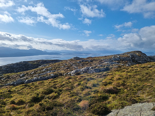 Vemannsrøysa
