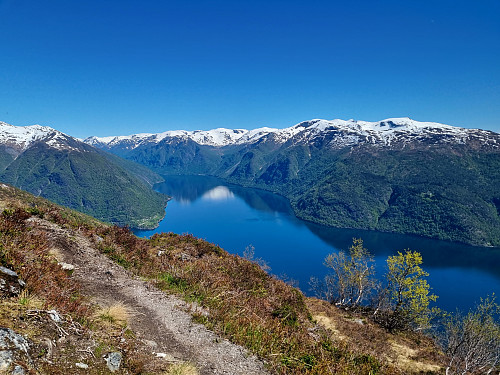 Fjærlandsfjorden