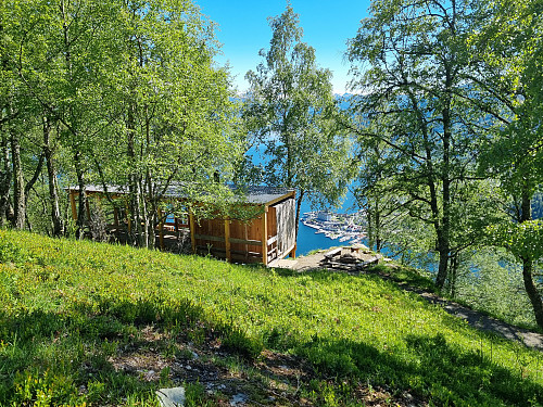 Kløyvd. Ein gapahuk