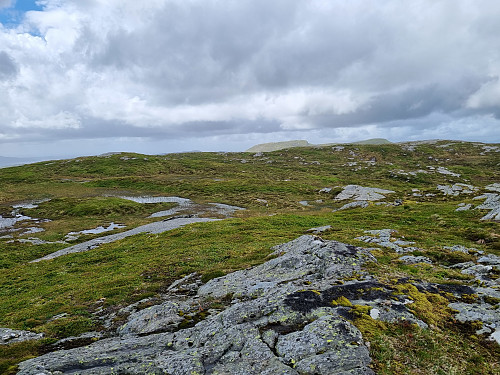 Frå toppen av Flateheia