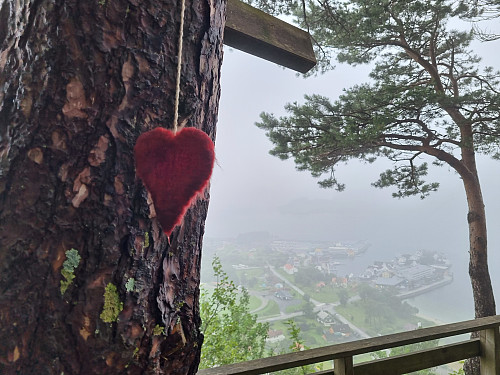 Fint pynta med hjarte av ull