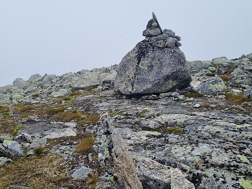 Varden på toppen