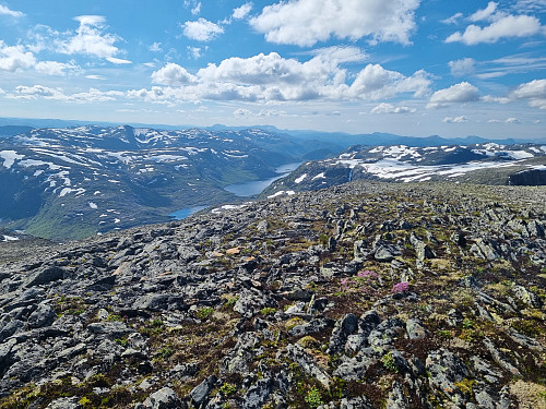 Utsikt mot Longevatna og Longevasshytta