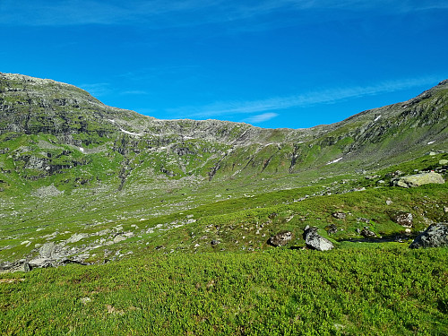Kupa