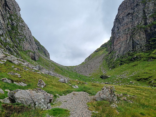 Høyskaret