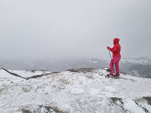 Bra med vind og snødrev på Djupviknipa