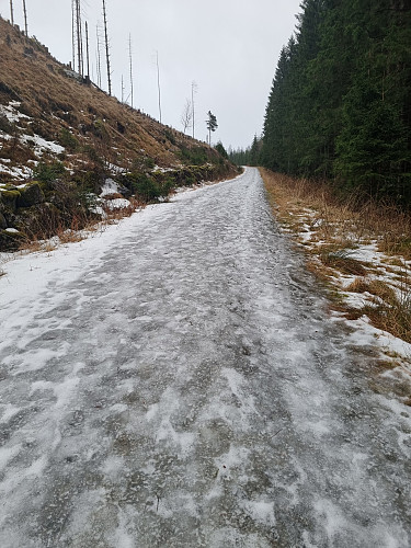 Skikkelig broddeføre