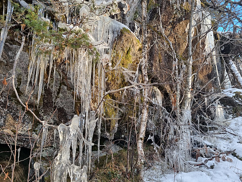 Naturens eige kunstverk