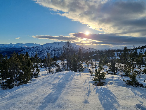 Skeistølen