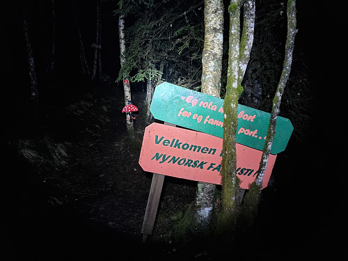 Nynorskens skog