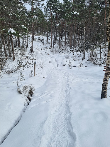 Mykje brukt rute på Brandsøyåsen, sjølv med snø