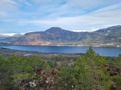 Hatlesetnipa
