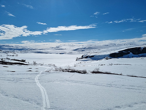 Utsikt frå Norddyttingen
