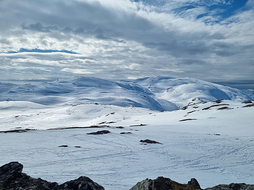 Blomfjellet
