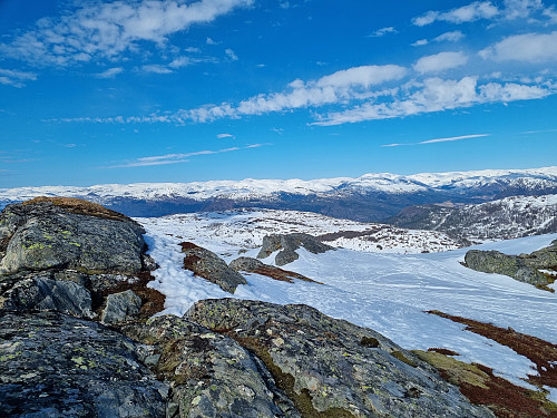 Blomfjellet