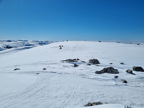 Utsikt frå toppen av Storholsheia. 