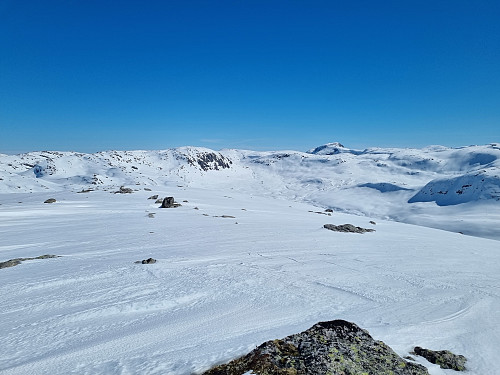 Utsikt frå toppen av Storholsheia. 