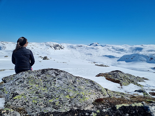 Utsikt frå toppen av Storholsheia. Østover
