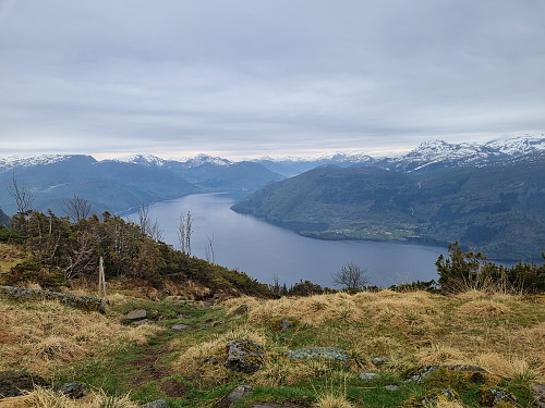 Førdefjorden sett frå Kringla