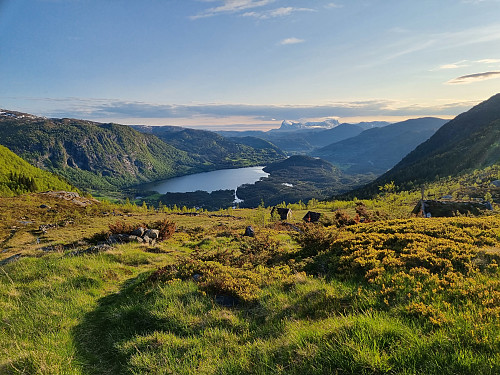 Høgsetstølen