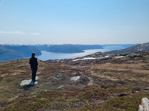 Sognefjorden sett frå Veslevassfjellet