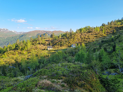 Skagestølen