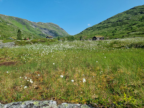 Fyglastølen