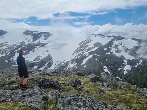 utsikt frå Grøskarfjellet mot Jostedalsbreen. Kvannbakkbu til høgre
