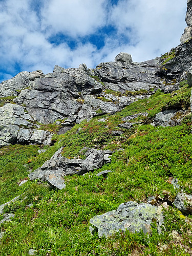 Ruta gjekk opp skaret her. 