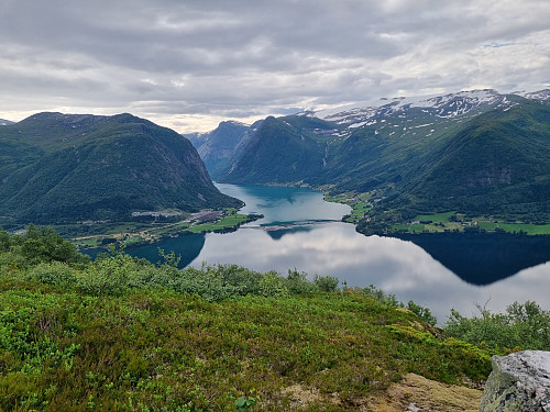 Utsikt mot Skei og Kjøsnesfjorden